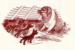 animal farm napoleon and dogs